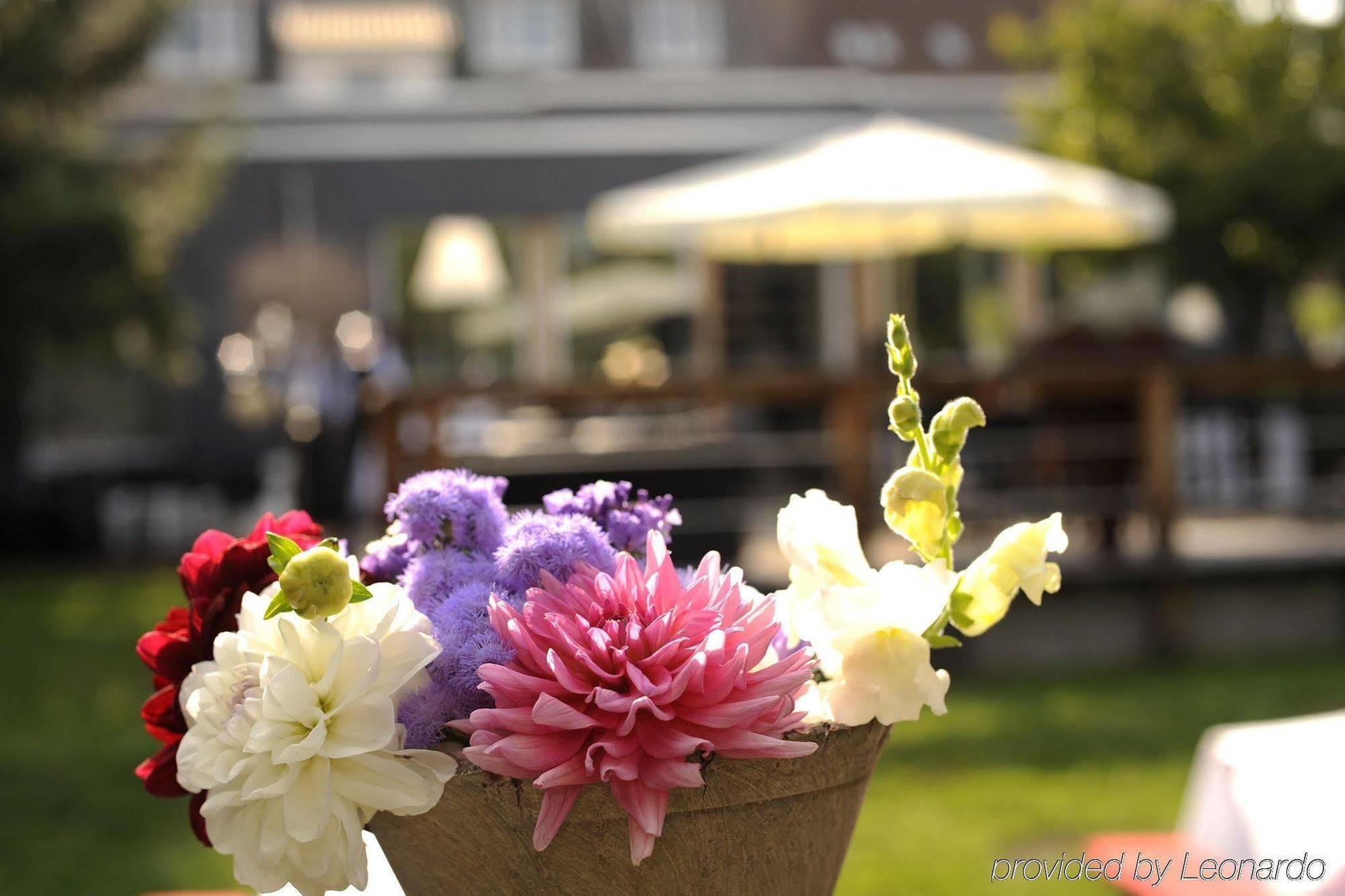 הנובר Boutique Hotel Viva Creativo מראה חיצוני תמונה